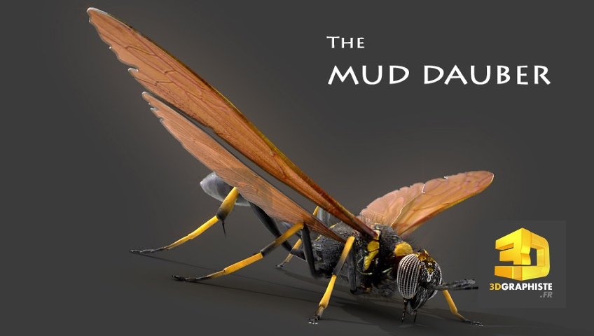 Illustration 3D d'une guepe en infographie 3D