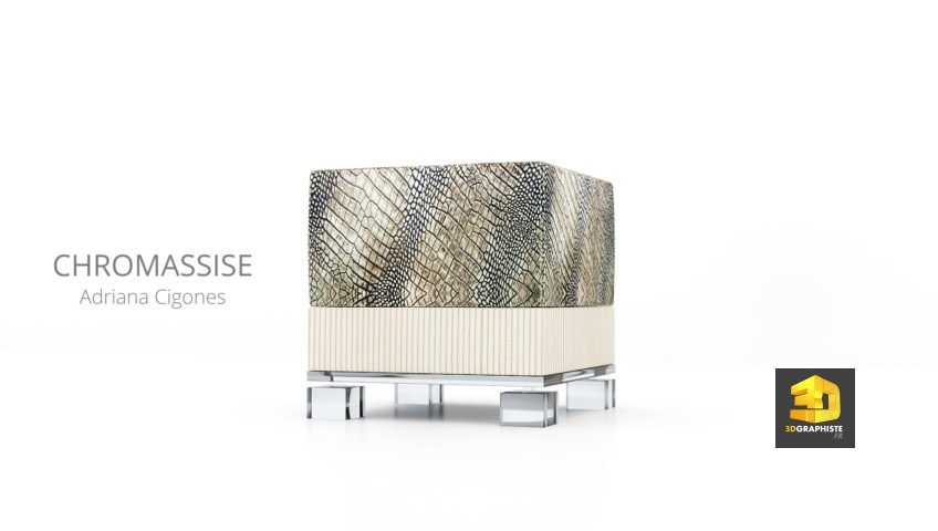 rendu 3d pouf